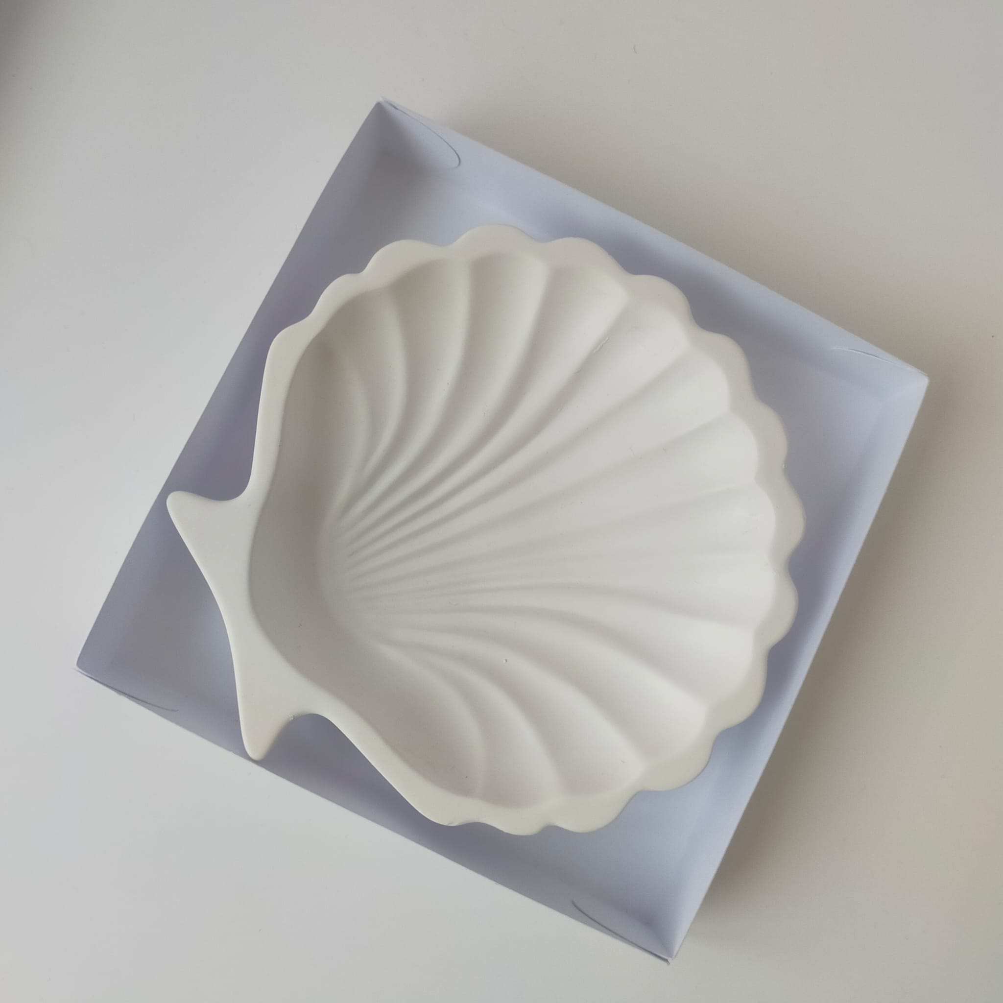 Gypsum Seashell plate