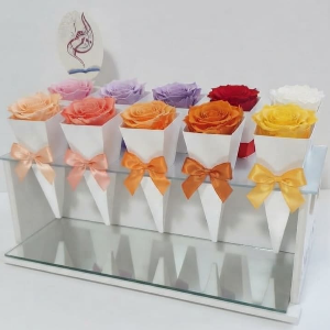 10 roses tray natural roses teachers day